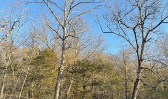 Tract 2 County Road 14-534, Ava, MO 65608
