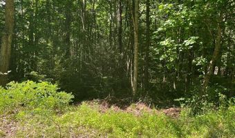 3 Clear Fork Creek Rd 31, Bastian, VA 24314