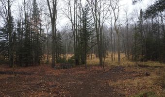 N10595 HWY 45, Aniwa, WI 54414