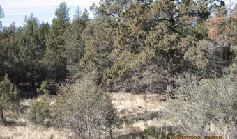 Lot 7 Warbler Drive, Bonanza, OR 97623