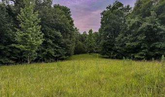 Legacy Shores lot 48, Alberta, AL 36720