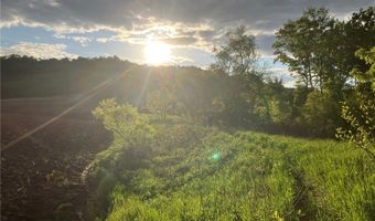 N3953-89 Bear Pen Road, Arkansaw, WI 54721