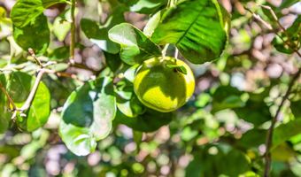 140 UWAPO Rd 36-104, Kihei, HI 96753