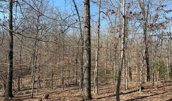 11111 Hwy 62/412, Ash Flat, AR 72513