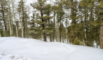 Rainbow Overlook Lot 1229RE Amended A, Angel Fire, NM 87710