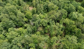 2401 Bell Point Rd, Beattyville, KY 41311