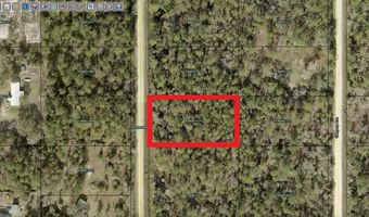 10540 HENNESSEY Ave, Hastings, FL 32145