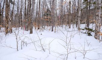 Markham Mountain Road, Andover, VT 05143