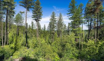 173 Timberjack Trl, Bigfork, MT 59911