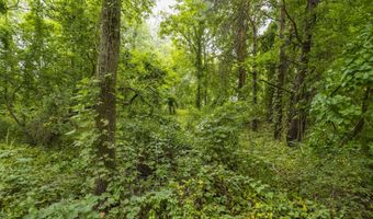 V/L 60th St Par C, Alto, MI 49302