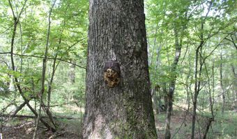 NE Greenhill Trail, Brookhaven, MS 39601