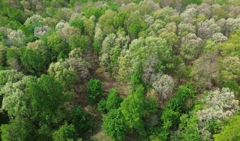 1271 A Tunnel Ridge Rd, Argillite, KY 41121