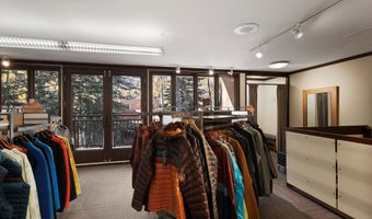 408 E Cooper Ave, Aspen, CO 81611