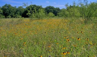 1322 Fm 1189, Brock, TX 76066