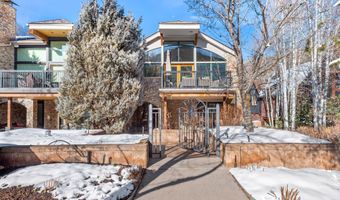 990 E Hopkins Ave, Aspen, CO 81611