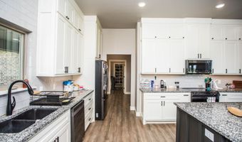 1531 F M 2060, Abernathy, TX 79311