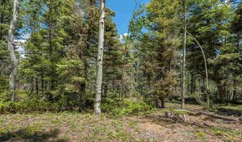 Lot 148 Brazos Dr, Angel Fire, NM 87710