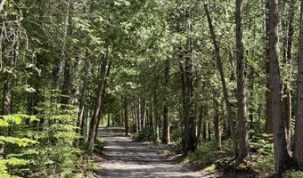 Parcel 4 Wreck Road, Alpena, MI 49707