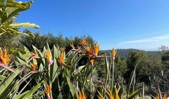 132 Pax Place Ct, Aptos, CA 95003