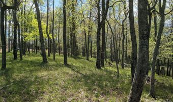 27 Woodtrail Way, Arden, NC 28704