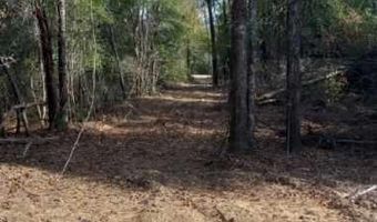 00 Tommy Tucker Rd Lot 2, Altha, FL 32421