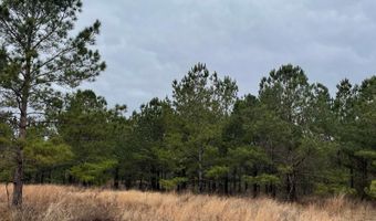 Lot 13 Sumrall Rd, Columbia, MS 39429
