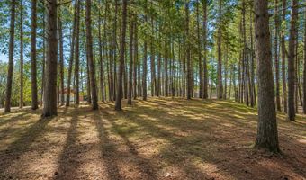917 Sunrise Beach Dr, Amery, WI 54001