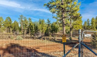 4096 Lonely Pine Ln, Clay Springs, AZ 85923