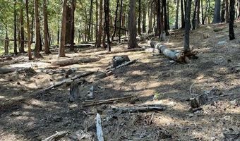 778 Yuroc Dr, Arnold, CA 95223