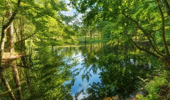 58 Acres Naples Ln, Arab, AL 35016
