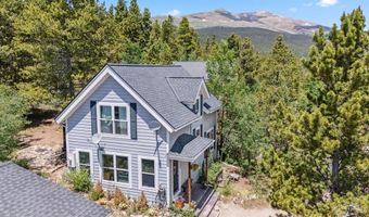 323 N OAK St, Alma, CO 80420