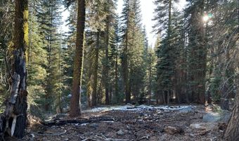 550 Cabbage Patch Log Rd, South Lake Tahoe, CA 95223