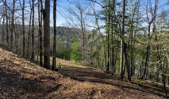 597 COUNTY ROAD 4028, Arley, AL 35541