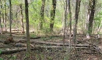 1642 R2 Kersey Valley Rd, Archdale, NC 27265