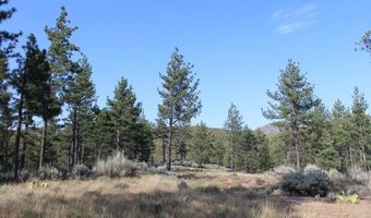 030 Butterfly Peak Rd, Mountain Center, CA 92561