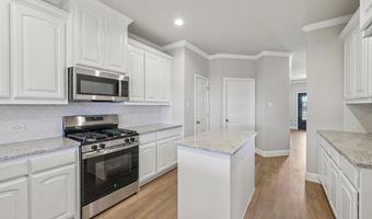 1033 Nighthawk Trl, Alvarado, TX 76009