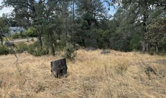 17300 Fuzzy Ln, Anderson, CA 96007