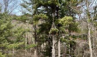 385 ELK CREEK Rd, Aaronsburg, PA 16820