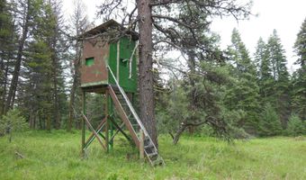 3695 W Mountain Rd, Anatone, WA 99401