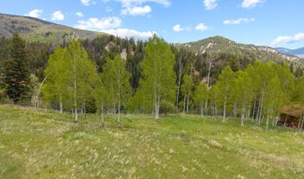 1239 Mclaughlin Ln, Basalt, CO 81621