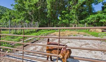 58 Blackcat Ln, Auxier, KY 41602
