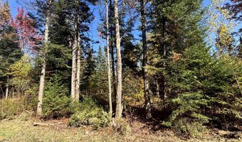 Atwood Road lot 2, Brighton, VT 05846