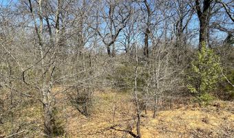 Willow Bend Lane, Atoka, OK 74525