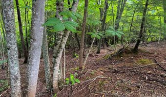 724 Streamside Dr, Arden, NC 28704