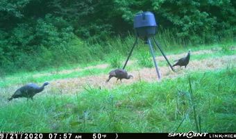 001 Farr Rd, Bolton, MS 39041