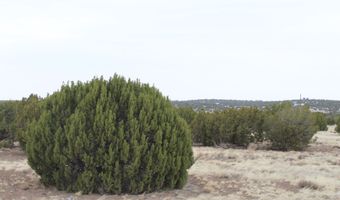21 County Rd, Concho, AZ 85924