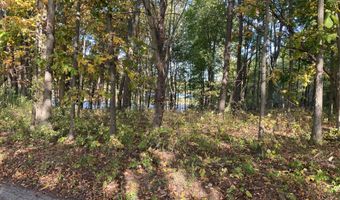 9540 Vincent Ave SE, Alto, MI 49302