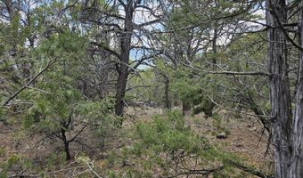 3221 Elk Springs Dr, Glenwood Springs, CO 81601