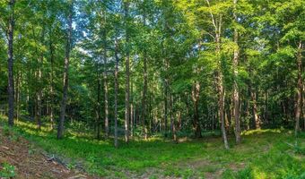 Amber Ranches 47, Bakersville, NC 28705