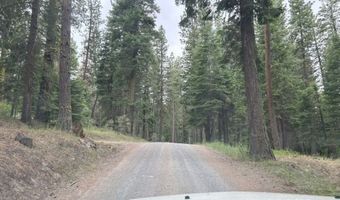 1000 McKenney, Alturas, CA 96101